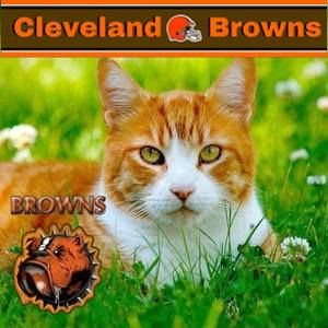 Meet your Posher, Paul